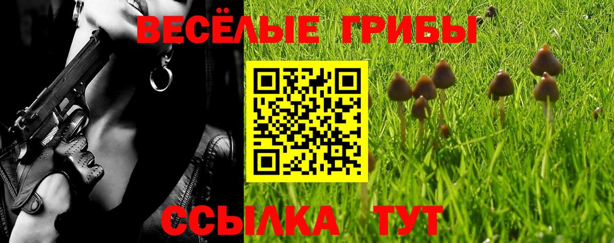 Галлюциногенные грибы GOLDEN TEACHER  Галлюциногенные грибы ЛСД  наркотики  Вход с VPN  Кизилюрт 